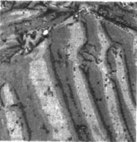 国产精品成人麻豆视频中铁磁性材料磁粉成像