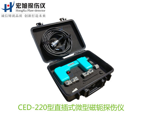 CED220型直插式微型磁轭麻豆污污污APP下载